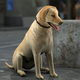 Illustration for article titled This Gran Turismo 5 Dog Finishes In Last Place